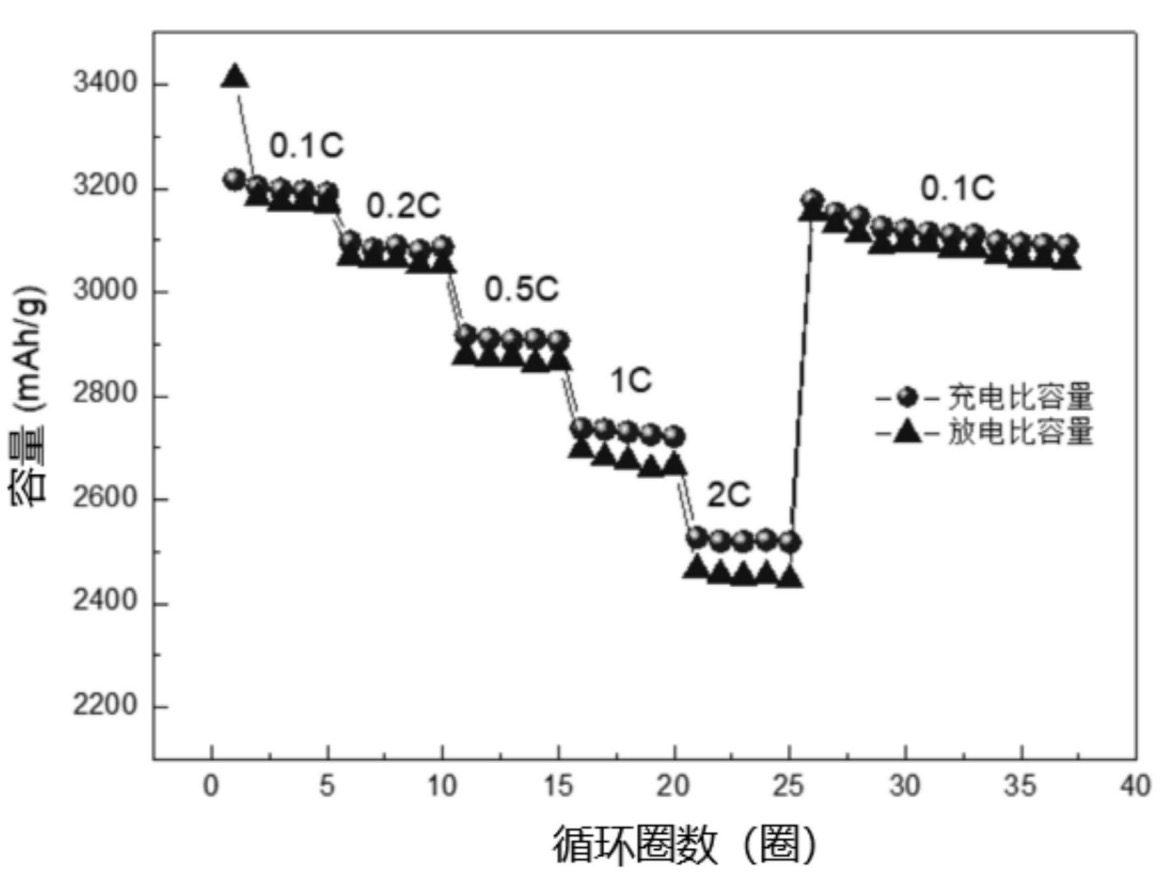 Patent Image, Shanshan